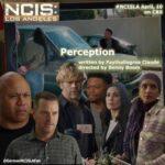 NCIS: Los Angeles Perception